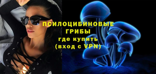 тгк Лагань
