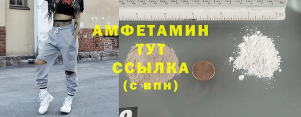 ГАЛЛЮЦИНОГЕННЫЕ ГРИБЫ Ладушкин