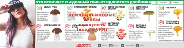 ГАЛЛЮЦИНОГЕННЫЕ ГРИБЫ Ладушкин