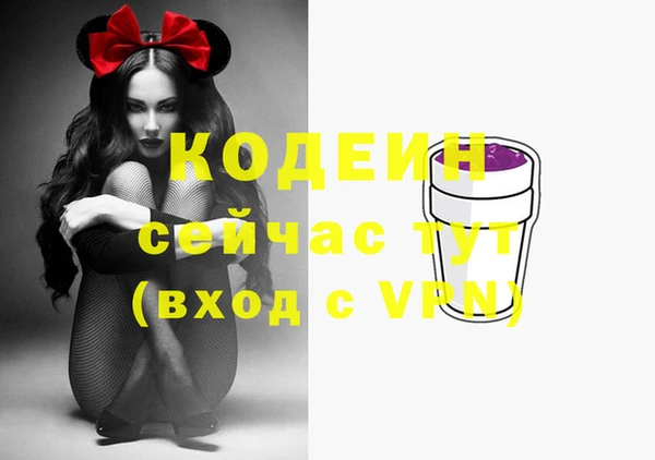 винт Лабытнанги