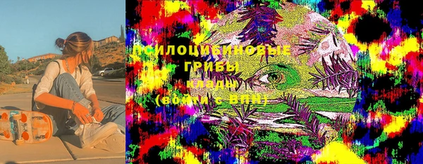 винт Лабытнанги