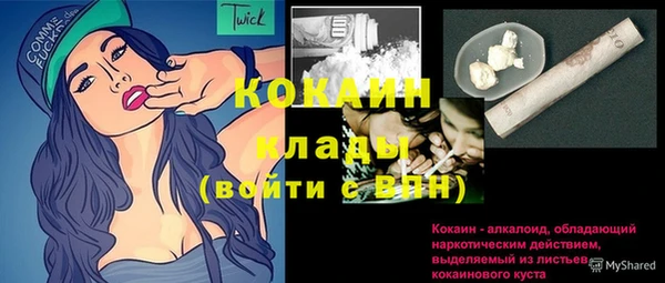 тгк Лагань