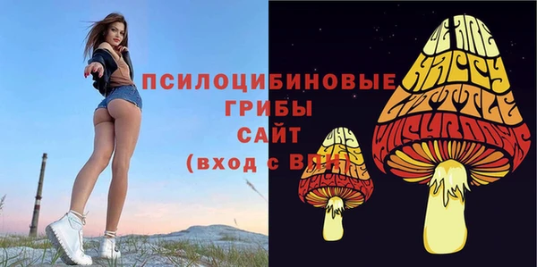 винт Лабытнанги