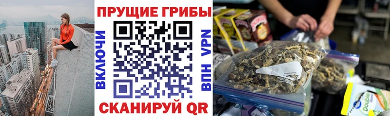 Купить  Палласовка  Псилоцибиновые грибы Magic Shrooms 